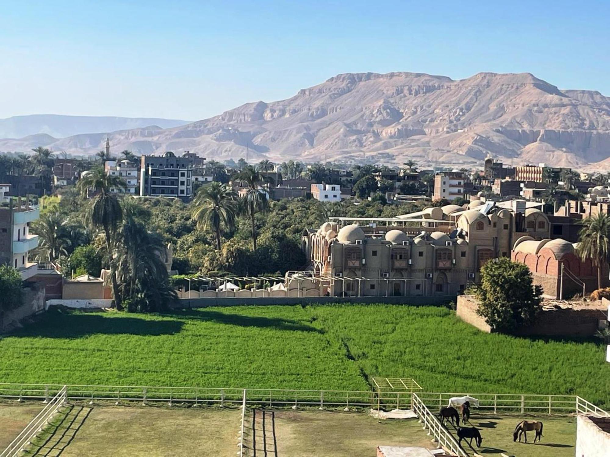 Royal Apartments Luxor Ngoại thất bức ảnh